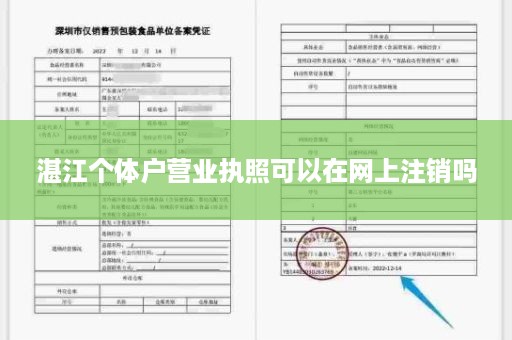 湛江个体户营业执照可以在网上注销吗