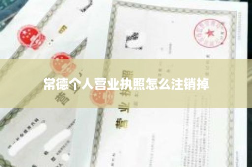 常德个人营业执照怎么注销掉