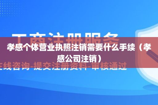 孝感个体营业执照注销需要什么手续（孝感公司注销）