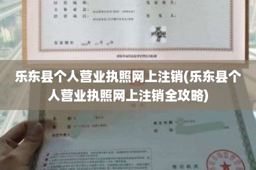 乐东县个人营业执照网上注销(乐东县个人营业执照网上注销全攻略)