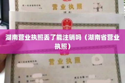 湖南营业执照丢了能注销吗（湖南省营业执照）