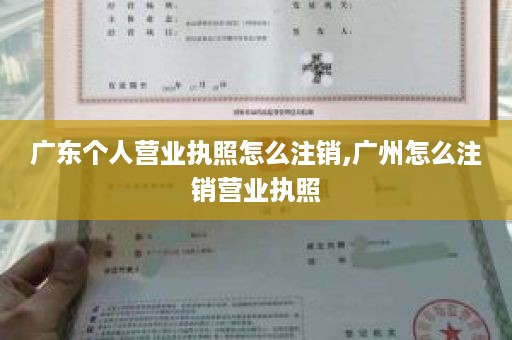广东个人营业执照怎么注销,广州怎么注销营业执照