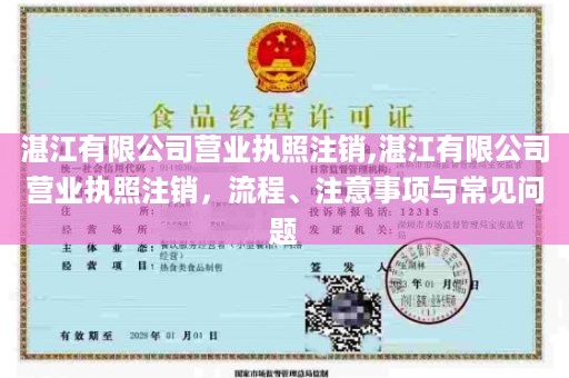 湛江有限公司营业执照注销,湛江有限公司营业执照注销，流程、注意事项与常见问题