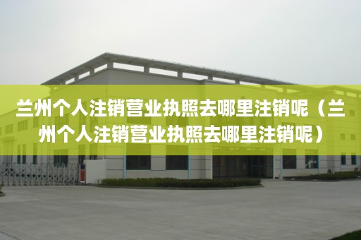 兰州个人注销营业执照去哪里注销呢（兰州个人注销营业执照去哪里注销呢）