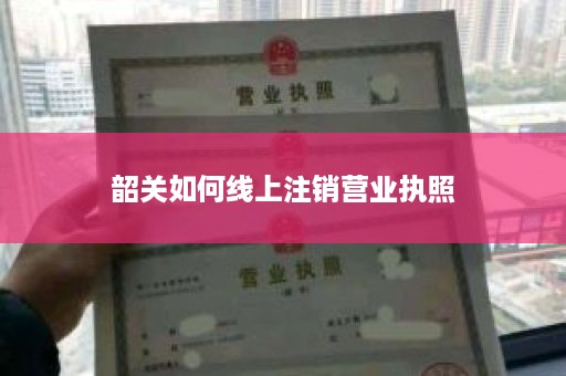 韶关如何线上注销营业执照