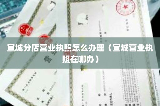 宣城分店营业执照怎么办理（宣城营业执照在哪办）