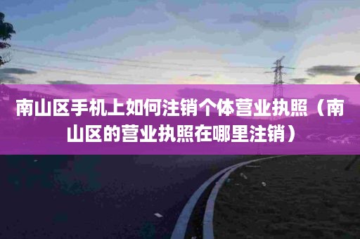 南山区手机上如何注销个体营业执照（南山区的营业执照在哪里注销）