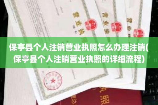 保亭县个人注销营业执照怎么办理注销(保亭县个人注销营业执照的详细流程)