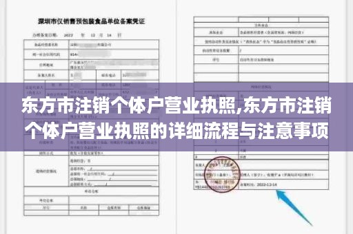 东方市注销个体户营业执照,东方市注销个体户营业执照的详细流程与注意事项