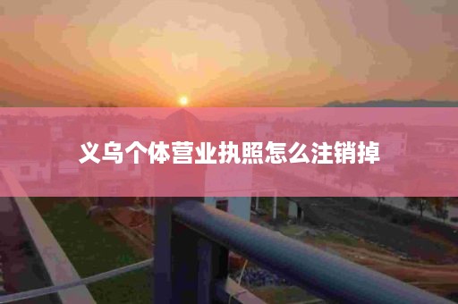义乌个体营业执照怎么注销掉
