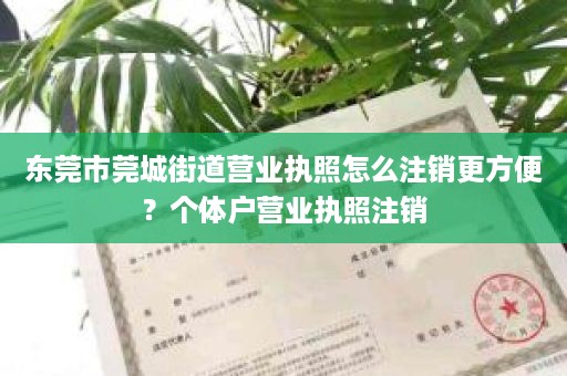 东莞市莞城街道营业执照怎么注销更方便？个体户营业执照注销