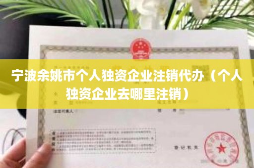 宁波余姚市个人独资企业注销代办（个人独资企业去哪里注销）