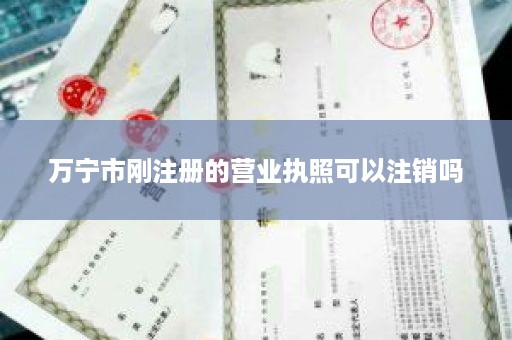 万宁市刚注册的营业执照可以注销吗