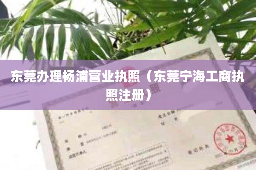 东莞办理杨浦营业执照（东莞宁海工商执照注册）
