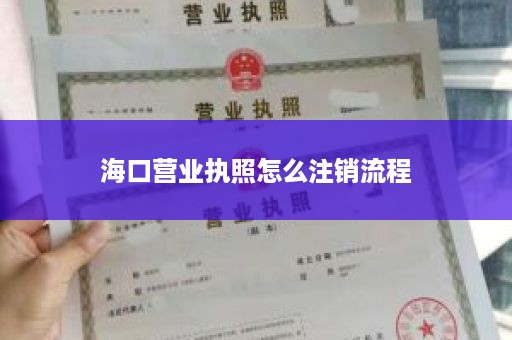 海口营业执照怎么注销流程
