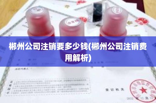 郴州公司注销要多少钱(郴州公司注销费用解析)