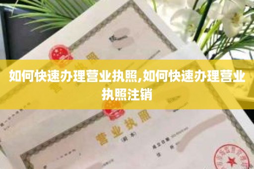 如何快速办理营业执照,如何快速办理营业执照注销