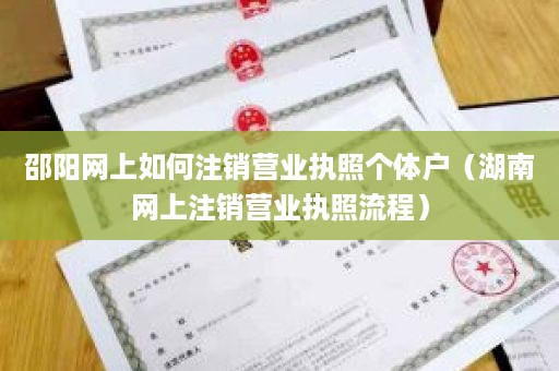 邵阳网上如何注销营业执照个体户（湖南网上注销营业执照流程）