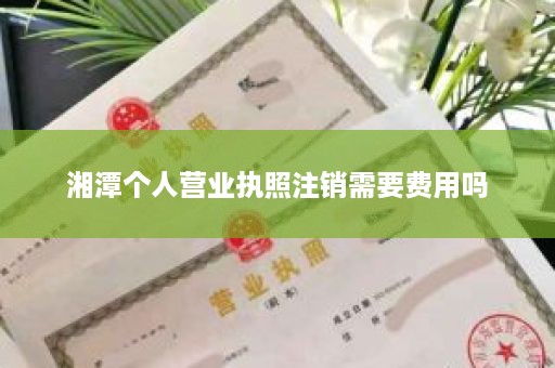 湘潭个人营业执照注销需要费用吗