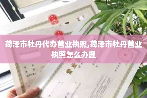 菏泽市牡丹代办营业执照,菏泽市牡丹营业执照怎么办理