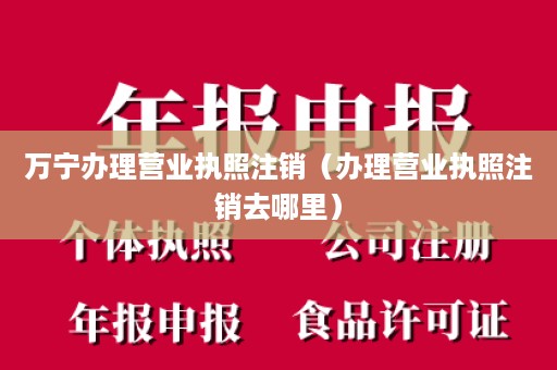 万宁办理营业执照注销（办理营业执照注销去哪里）