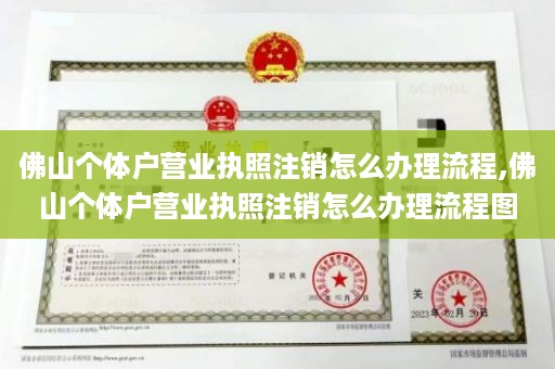 佛山个体户营业执照注销怎么办理流程,佛山个体户营业执照注销怎么办理流程图