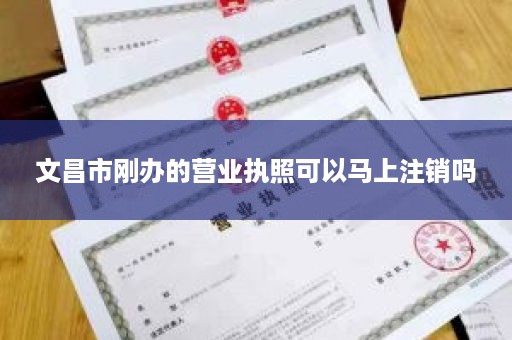 文昌市刚办的营业执照可以马上注销吗