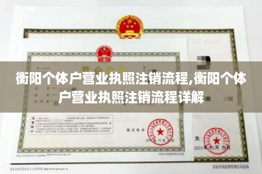 衡阳个体户营业执照注销流程,衡阳个体户营业执照注销流程详解