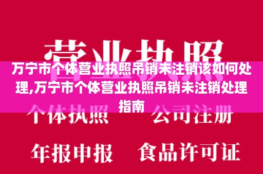 万宁市个体营业执照吊销未注销该如何处理,万宁市个体营业执照吊销未注销处理指南