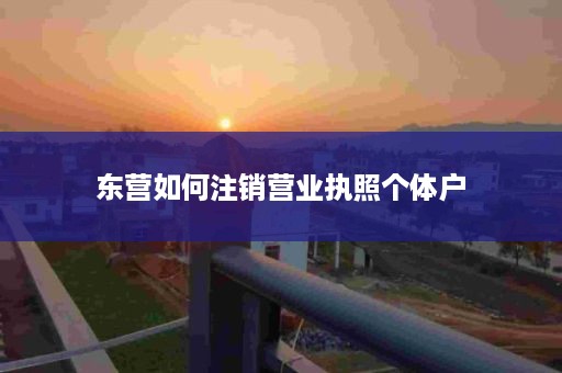 东营如何注销营业执照个体户