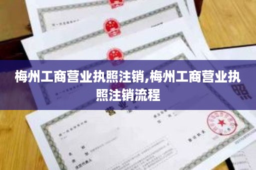 梅州工商营业执照注销,梅州工商营业执照注销流程