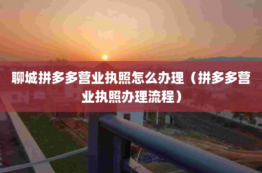 聊城拼多多营业执照怎么办理（拼多多营业执照办理流程）