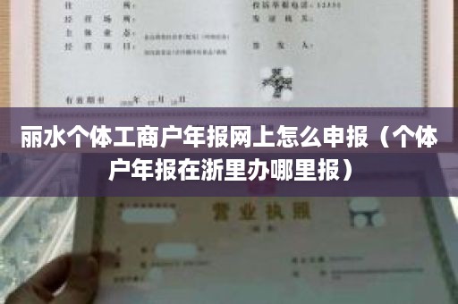 丽水个体工商户年报网上怎么申报（个体户年报在浙里办哪里报）