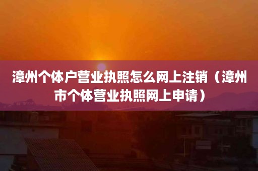漳州个体户营业执照怎么网上注销（漳州市个体营业执照网上申请）