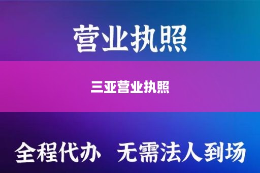 三亚营业执照