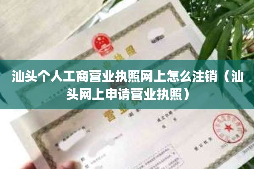 汕头个人工商营业执照网上怎么注销（汕头网上申请营业执照）