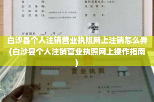 白沙县个人注销营业执照网上注销怎么弄(白沙县个人注销营业执照网上操作指南)