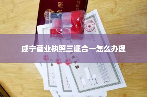 咸宁营业执照三证合一怎么办理