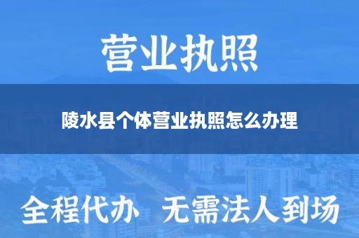 陵水县个体营业执照怎么办理