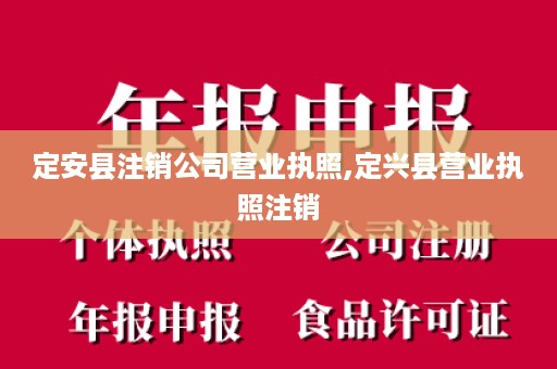 定安县注销公司营业执照,定兴县营业执照注销