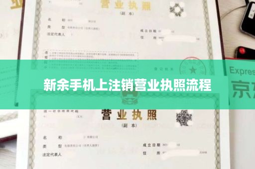 新余手机上注销营业执照流程