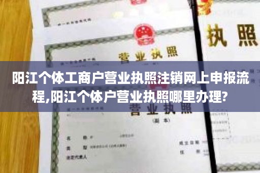 阳江个体工商户营业执照注销网上申报流程,阳江个体户营业执照哪里办理?