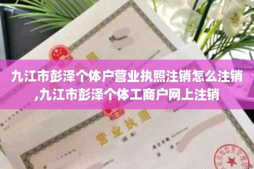 九江市彭泽个体户营业执照注销怎么注销,九江市彭泽个体工商户网上注销