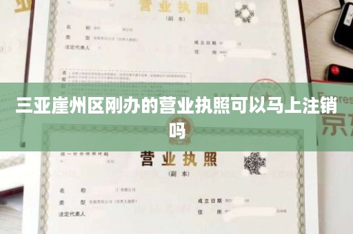 三亚崖州区刚办的营业执照可以马上注销吗