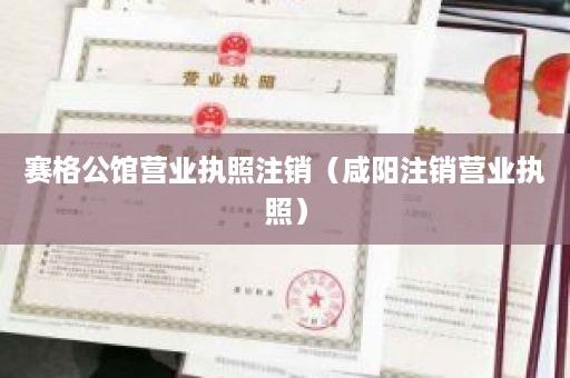 赛格公馆营业执照注销（咸阳注销营业执照）