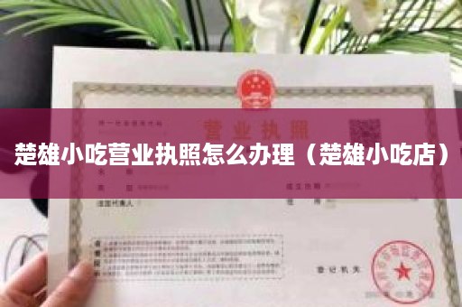 楚雄小吃营业执照怎么办理（楚雄小吃店）