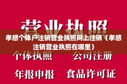 孝感个体户注销营业执照网上注销（孝感注销营业执照在哪里）