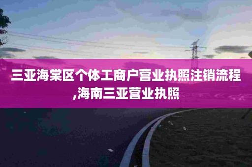 三亚海棠区个体工商户营业执照注销流程,海南三亚营业执照