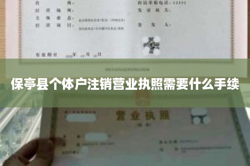 保亭县个体户注销营业执照需要什么手续