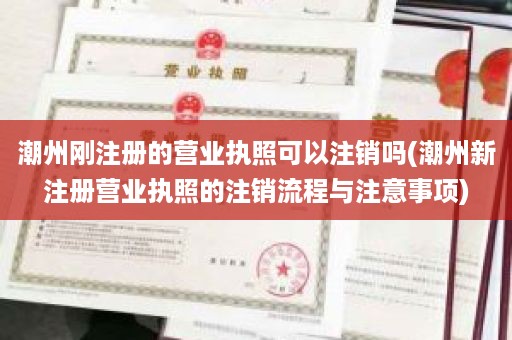 潮州刚注册的营业执照可以注销吗(潮州新注册营业执照的注销流程与注意事项)